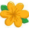 flower 1 1
