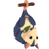 Cute opossum 1 1
