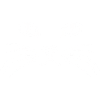 Cat Face
