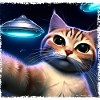 Cat selfie with UFO