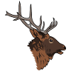 elk head