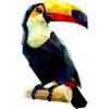 Polygonal Toucan