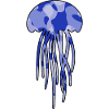 Jellyfish blue camo