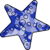 Starfish blue camo