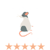 Mouse Review