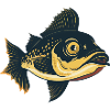 Fishing Trout Fisherman