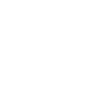 High Functionning Sociopath