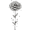 Rose Minimalism