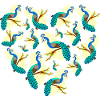 peacock