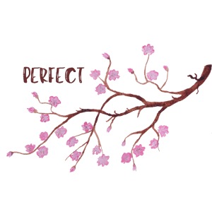 Perfect Cherry Blossom