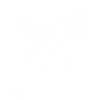 White Ghost Raptor