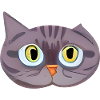 Cute Cat Face