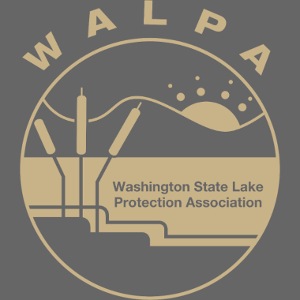 gold logo