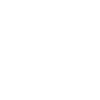 Chameleon Skeleton