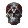 Beautiful skull art