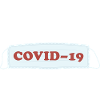 I SURVIVED COVID19 blue