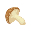 Let That Shiitake Go