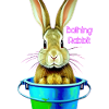 Rabbit in bucket