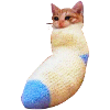 sadcat sock meme funny