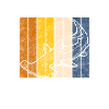 Shark Flippers Shark Tooth