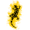 Fire salamander animal.