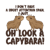 Capybara zoo animal design
