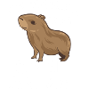 Capybara zoo animal design