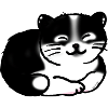 Black And White Cat