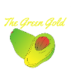 Avocado The Green Gold