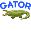 Gator Bait Crocs