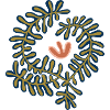 Figurative Plant Print