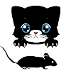 Cat Mouse