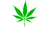 High Vibes Weed Leaf