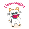 Unimpressed Funny Angry Cat