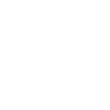 Pizza Slice