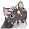 Idiot Cat