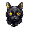 Black Cat face