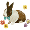 Black And White Bunny