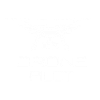 Drone Pilot