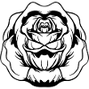 rose flower
