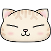 Cute Cream Cat Face