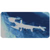 USAF F-4 Phantom