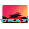 USAF F-14 Tomcat Airplane