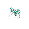 Cogito Ergo Sum Latin Quote