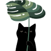 Cat and Plant