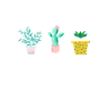 Plant Mama