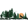 Wildlife Wolf Howling