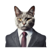 Cat in a suit