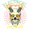 Electrical Hazard
