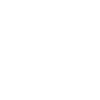 SKULL PUPPY DOG PET